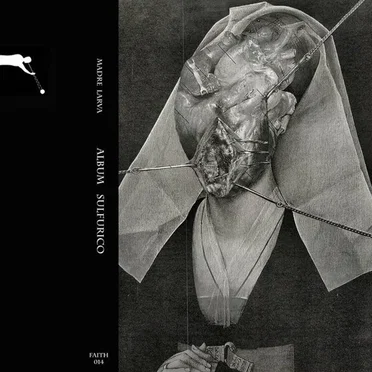 Álbum sulfúrico by Madrelarva - album cover