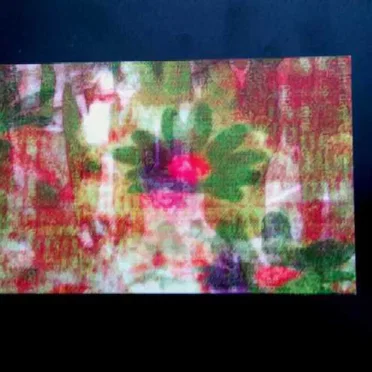 Plurals / Tuluum Shimmering