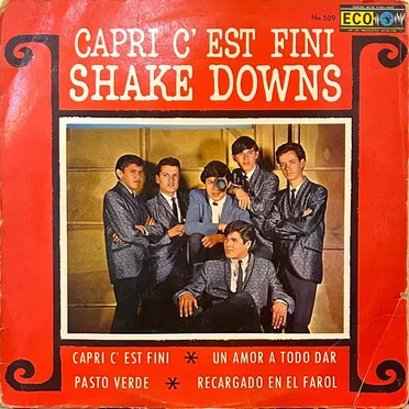 Shake Downs