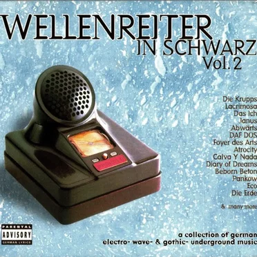 Wellenreiter in Schwarz, Volume 2 by Various Artists - album cover