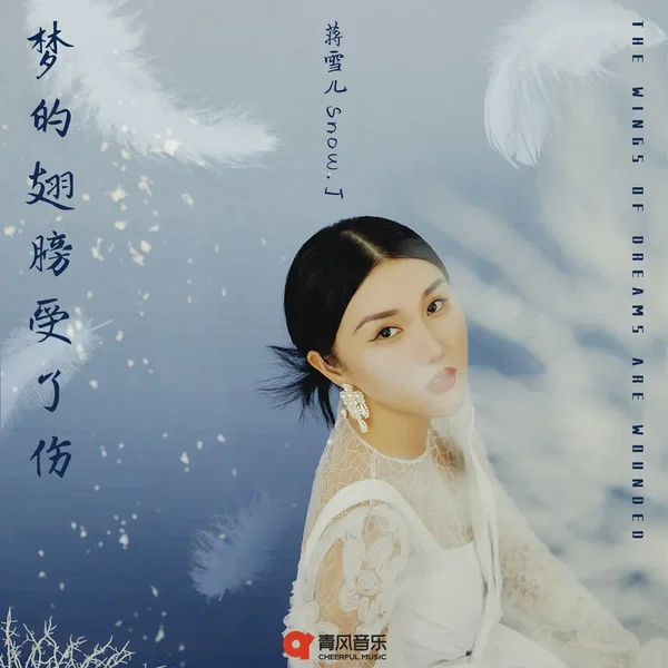 梦的翅膀受了伤