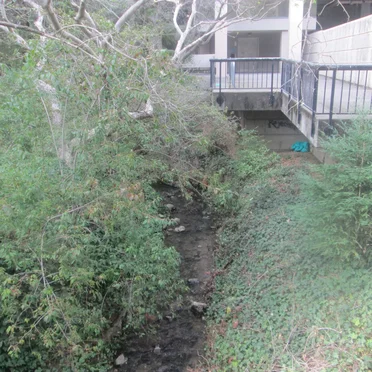 With My Dad in Berkeley