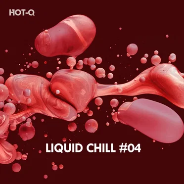 Liquid Chill, Vol 04 by Various Artists - album cover