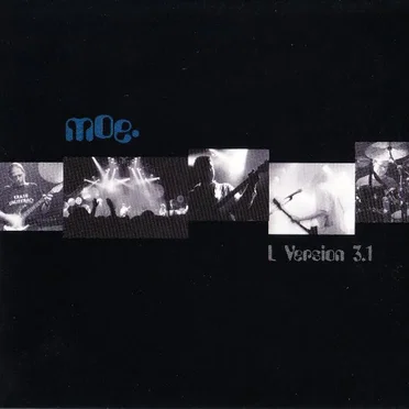 L: Version 3.1