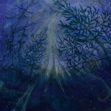 Forest Storm