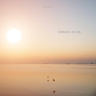 Seguridad A Mi Alma by Dos Peces - album cover