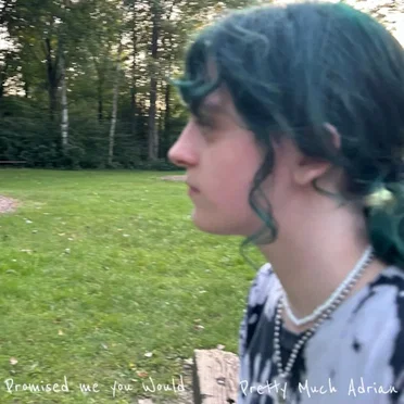 promised me you would by Pretty Much Adrian - album cover