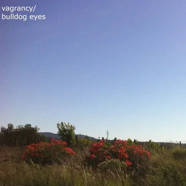 vagrancy/bulldog eyes split