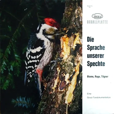 Die Sprache unserer Spechte by Blume - album cover