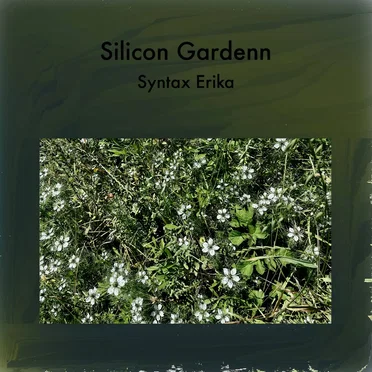 Silicon Gardenn