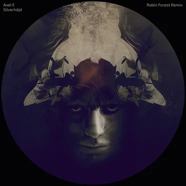 Silverhöjd (Robin Forest remix) by Axel E - album cover