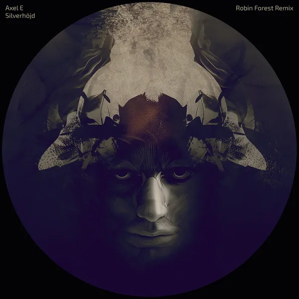 Silverhöjd (Robin Forest remix)