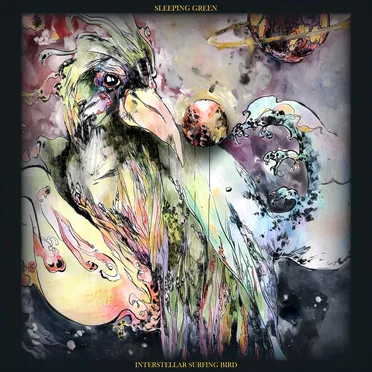 Interstellar Surfing Bird