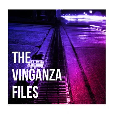 The Vinganza Files by Vinganza - album cover