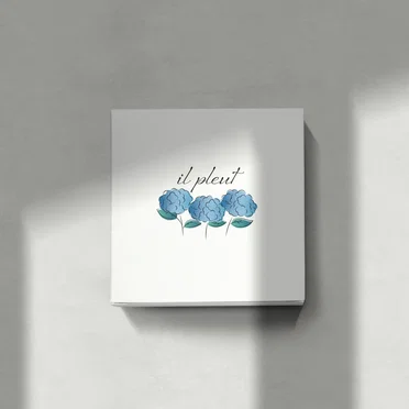 RAINY DANCE by il pleut - album cover