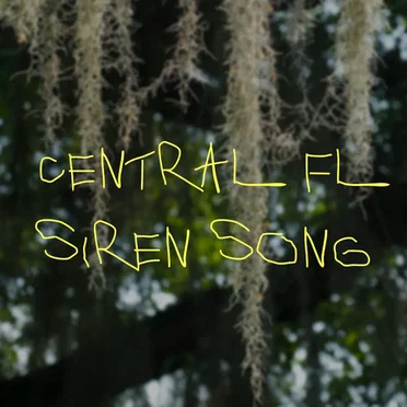 Central FL Siren Song by Twenty Something Summer - album cover
