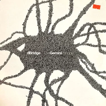 The Gemini Principle