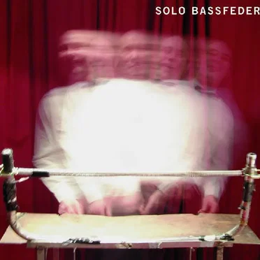 Solo Bassfeder