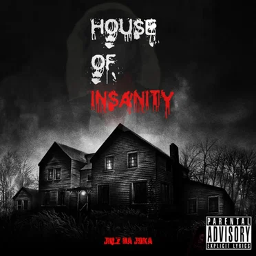 House of Insanity by Julz da Joka - album cover