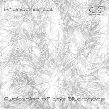Awakening of the Bit Dragons by Phundamental - album cover
