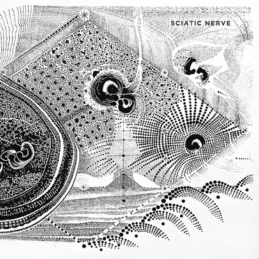 Sciatic Nerve by Sciatic Nerve - album cover