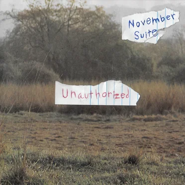Unauthorized (A Compilation) by November Suite - album cover