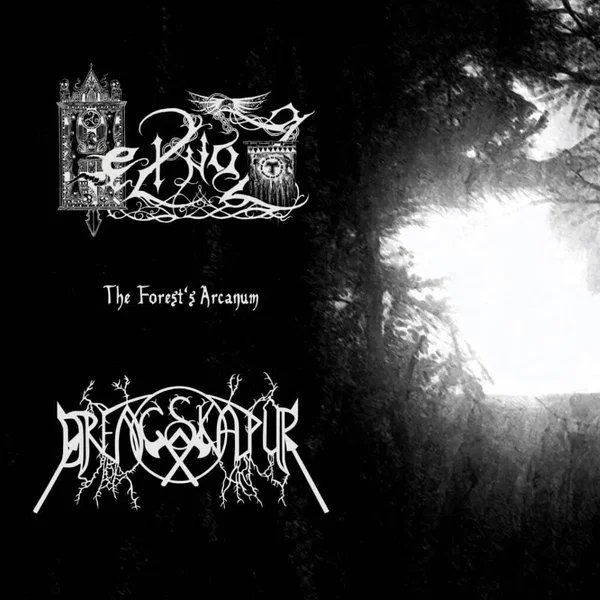 The Forest's Arcanum