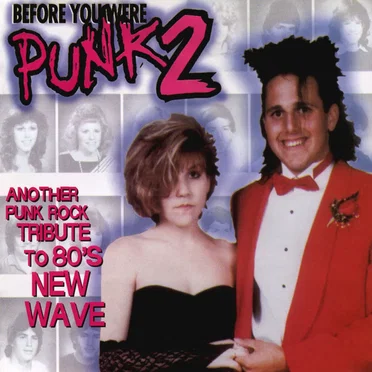 Before You Were Punk 2 by Various Artists - album cover