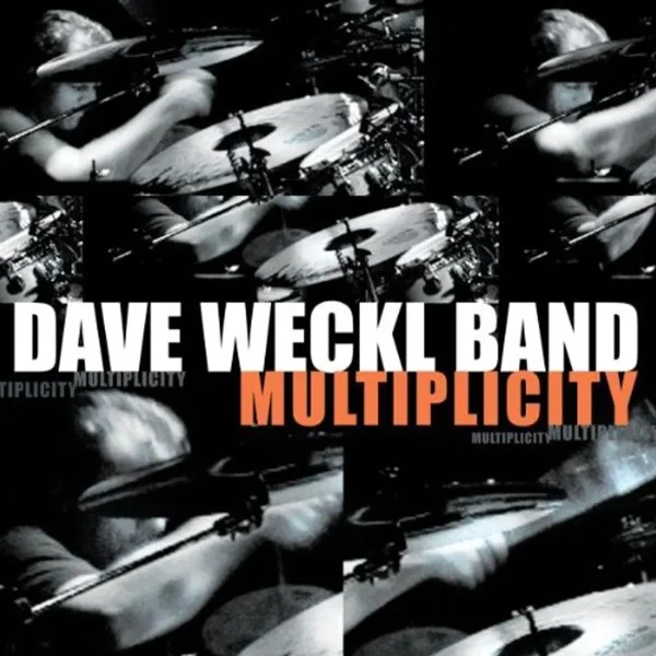 Multiplicity