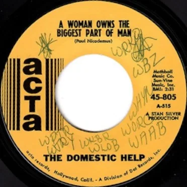 The Domestic Help