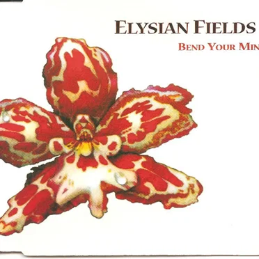 Bend Your Mind