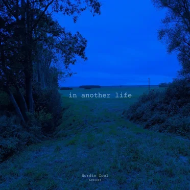 In Another Life