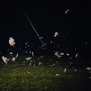 The Golfer