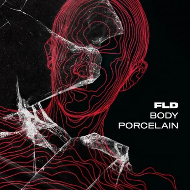 Body Porcelain by FLD - album cover