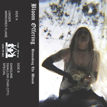 Unmasking the Wound by Bloom Offering - album cover