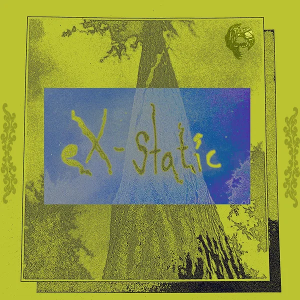 eX-Static