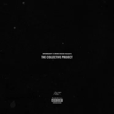 The Collective Project by Various Artists - album cover