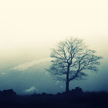 Hidden Landscapes by Various Artists - album cover