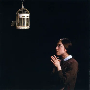 Bird Heart in Wool by Textile Ranch - album cover