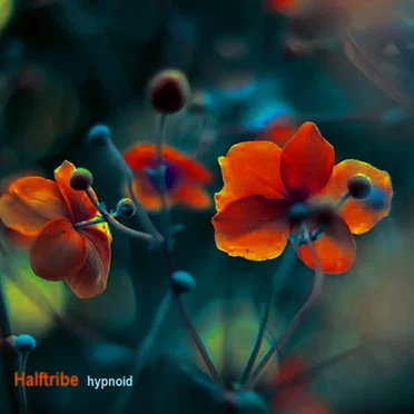Hypnoid