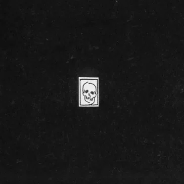 In Vitro