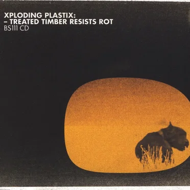 Treated Timber Resists Rot