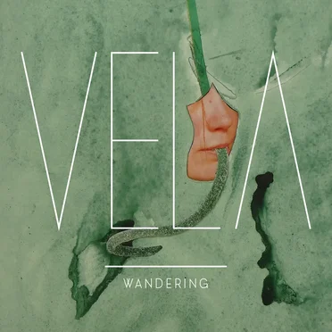 Wandering by Vela - album cover