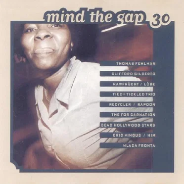Mind the Gap, Volume 30 by Various Artists - album cover