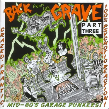 Back From the Grave, Part 3 by Various Artists - album cover