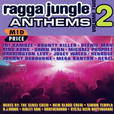 Ragga Jungle Anthems, Volume 2 by Various Artists - album cover