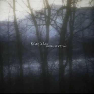 falling in love