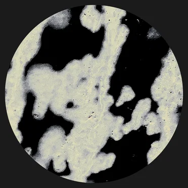 SKUDGE 015