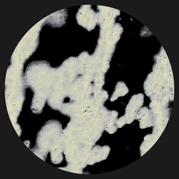 SKUDGE 015