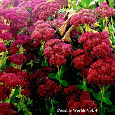 Possible Worlds Vol. 4 by Various Artists - album cover